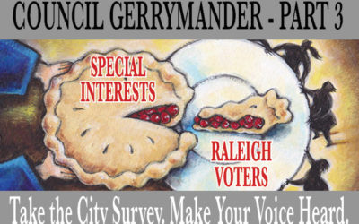 Give Raleigh Back to the Voters: Take the Survey and Make Your Voice Count