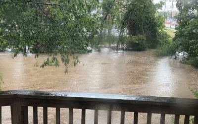 Anderson Forest Neighbors Oppose All Options for Big Branch Greenway Connector