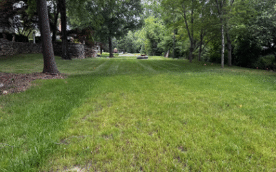 Vote for Streamside Option by 6/11
