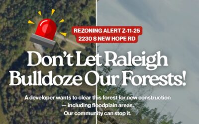 Don’t let Raleigh bulldoze our forests!