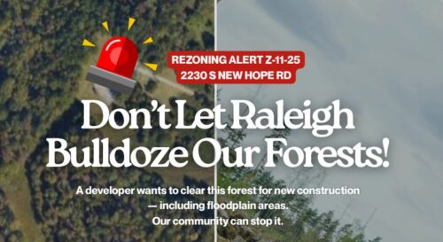 Don’t let Raleigh bulldoze our forests!