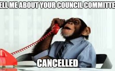 Council Committees